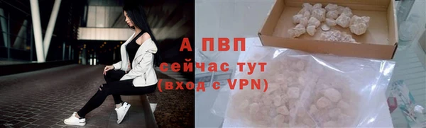 2c-b Белокуриха